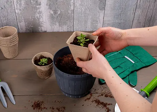 Горщик під розсаду – зручне рішення для вирощування міцних рослин